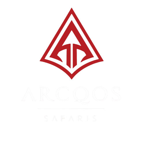 Arcqos Safari Pakistan